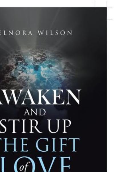 Cover for Elnora Wilson · Awaken and Stir Up the Gift of Love (Paperback Bog) (2017)