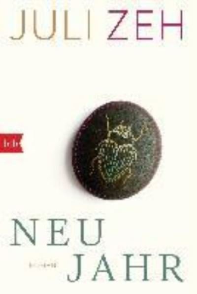 Cover for Juli Zeh · Neujahr (Paperback Book) (2019)