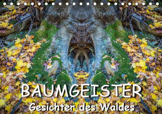 Cover for Döring · Baumgeister, Gesichter des Walde (Book)