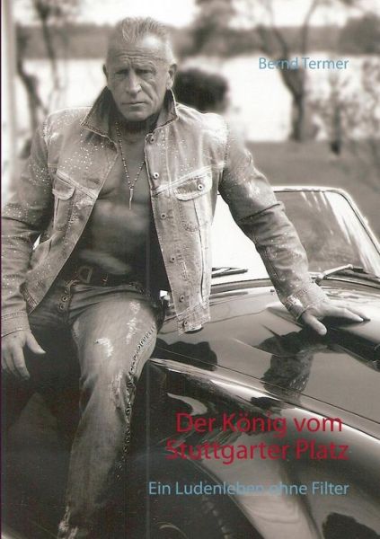 Cover for Bernd Termer · Der König Vom Stuttgarter Platz (Paperback Book) [German edition] (2014)