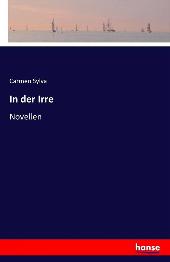 Cover for Sylva · In der Irre (Buch) (2016)