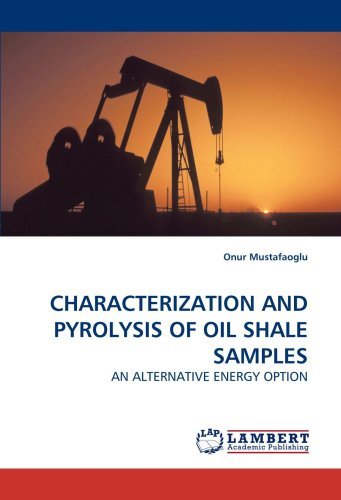 Cover for Onur Mustafaoglu · Characterization and Pyrolysis of Oil Shale Samples: an Alternative Energy Option (Paperback Book) (2010)