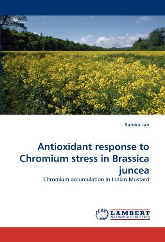 Cover for Sumira Jan · Antioxidant Response to Chromium Stress in Brassica Juncea: Chromium Accumulation in Indian Mustard (Taschenbuch) (2010)