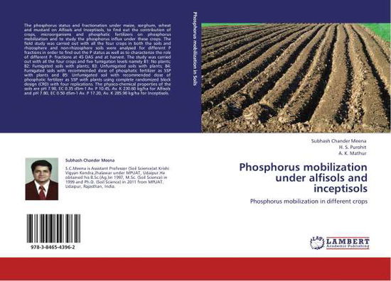 Phosphorus mobilization under alf - Meena - Książki -  - 9783846543962 - 