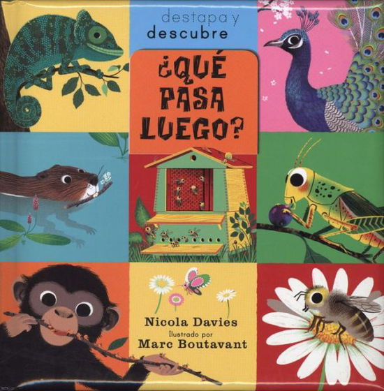 Cover for Nicola Davies · Qué Pasa Luego? (Hardcover Book) [Spanish, 1ª Ed., 1ª Imp. edition] (2013)