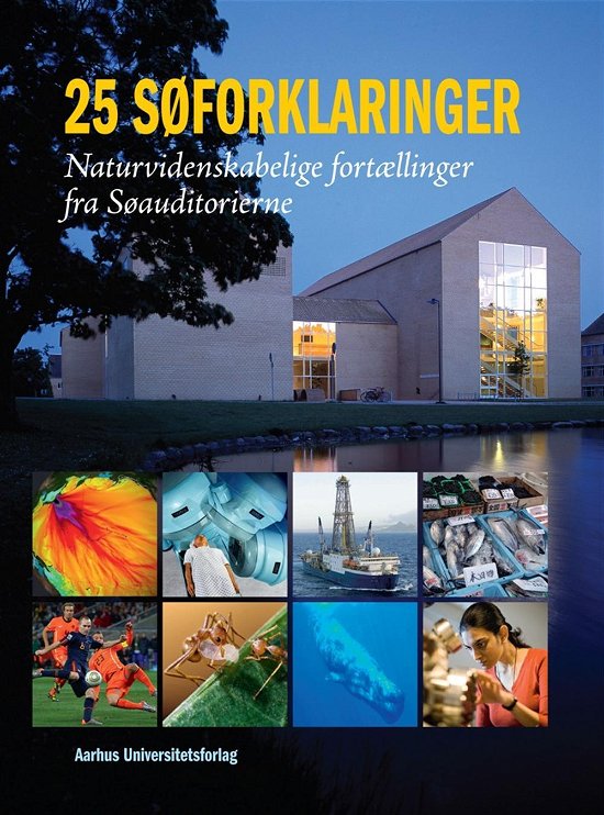25 søforklaringer - Kjaer Carsten Rabæk - Books - Aarhus Universitetsforlag - 9788771240962 - April 28, 2014