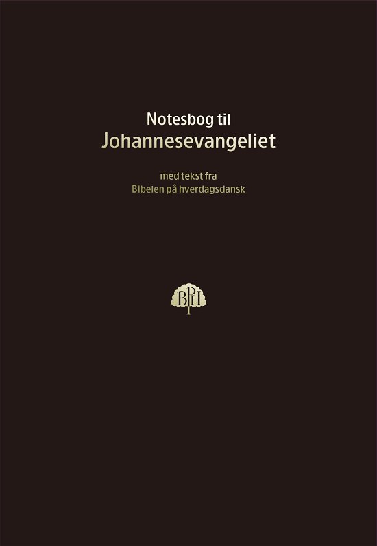 Cover for Bibelnotesbog 4, Johannesevangeliet (Paperback Book) (2024)
