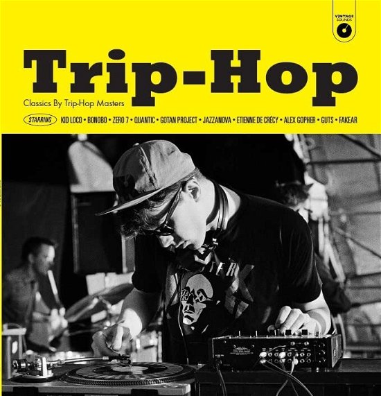 Vintage Sounds: Trip Hop - Vintage Sounds: Trip-hop / Var - Musik - WAGRAM - 3596974403963 - 21 juni 2024