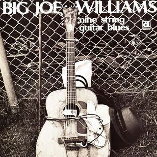 Nine String Guitar Blues - Big Joe Williams - Musik - P-VINE RECORDS CO. - 4995879236963 - 16. september 2005