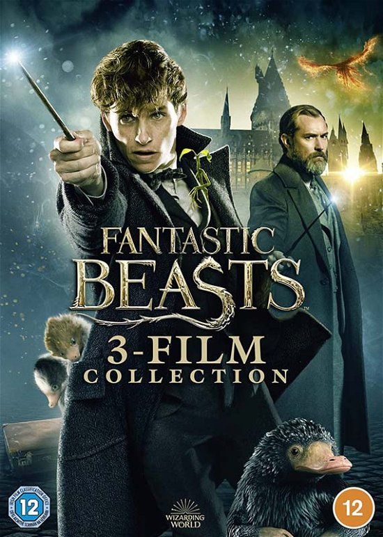 Cover for Fantastic Beasts 3film Collection DVD · Fantastic Beasts Complete 3 Movie Collection (DVD) (2022)