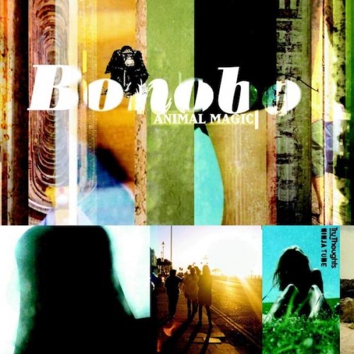 Animal Magic (Color Vinyl) - Bonobo - Música - ELECTRONIC - 5060609660963 - 19 de julho de 2019