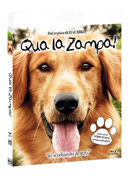 Cover for Josh Gad,betty Gilpin,dennis Quaid · Qua La Zampa 2 - Un Amico E' Per Sempre (Blu-ray+dvd) (Blu-ray) (2020)