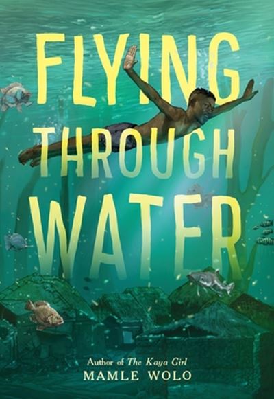 Cover for Mamle Wolo · Flying through Water (Gebundenes Buch) (2024)