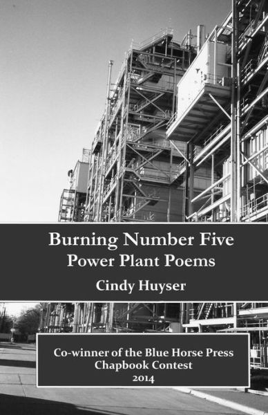 Cover for Cindy Huyser · Burning Number Five (Paperback Book) (2014)