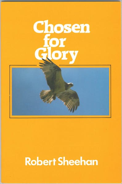 Chosen for Glory - Robert Sheehan - Books - Christian Focus Publications Ltd - 9780906731963 - 2001