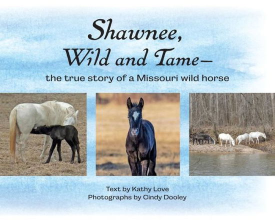 Cover for Kathy Love · Shawnee, Wild and Tame (Hardcover Book) (2019)