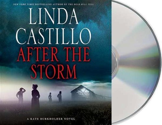 Cover for Linda Castillo · After the Storm (CD) (2015)