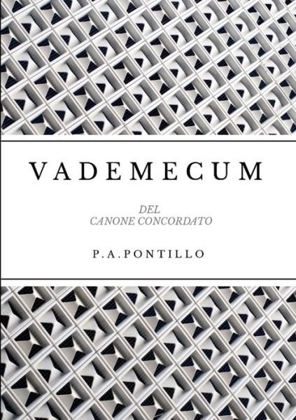 Cover for Paride Alessandro Pontillo · VADEMECUM Dei CANONI CONCORDATI (Book) (2023)