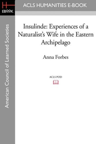 Cover for Pat Shipman · Insulinde: Experiences of a Naturalist's Wife in the Eastern Archipelago (Paperback Book) (2008)