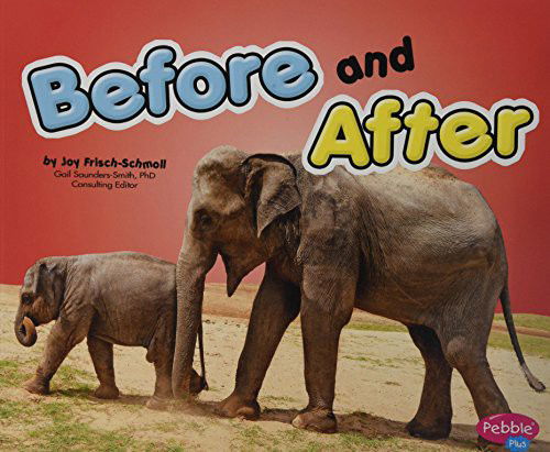 Cover for Joy Frisch-Schmoll · Before and After (Paperback Book) (2013)