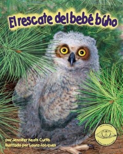 Cover for Jennifer Keats Curtis · El Rescate del Bebe Buho (Baby Owl's Rescue) (Paperback Book) (2009)