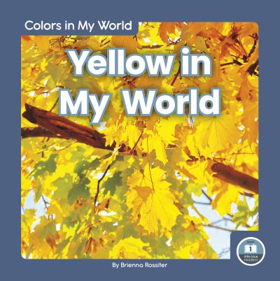 Cover for Brienna Rossiter · Yellow in My World - Colors in My World (Paperback Book) (2020)