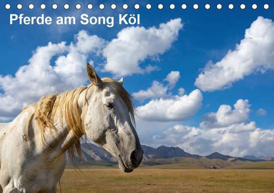 Cover for Rusch · Pferde am Song Köl (Tischkalender (Bog)