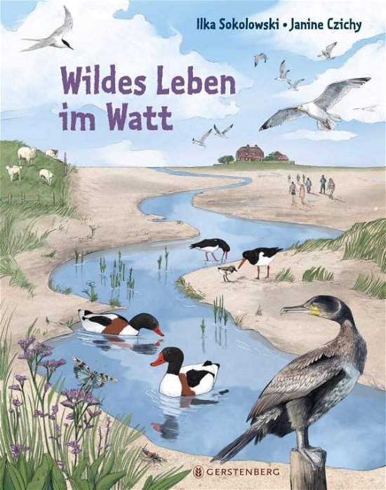 Cover for Ilka Sokolowski · Wildes Leben im Watt (Hardcover Book) (2020)