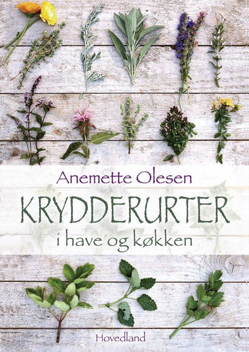 Cover for Anemette Olesen · Krydderurter i have og køkken (Innbunden bok) [1. utgave] [Indbundet] (2014)