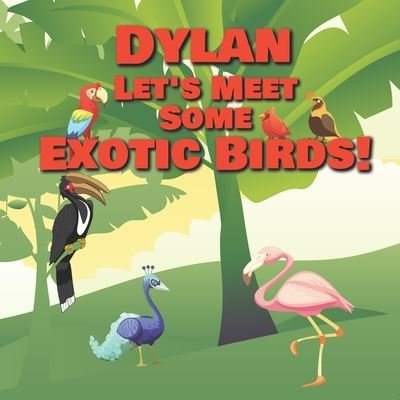 Cover for Chilkibo Publishing · Dylan Let's Meet Some Exotic Birds! (Paperback Book) (2020)