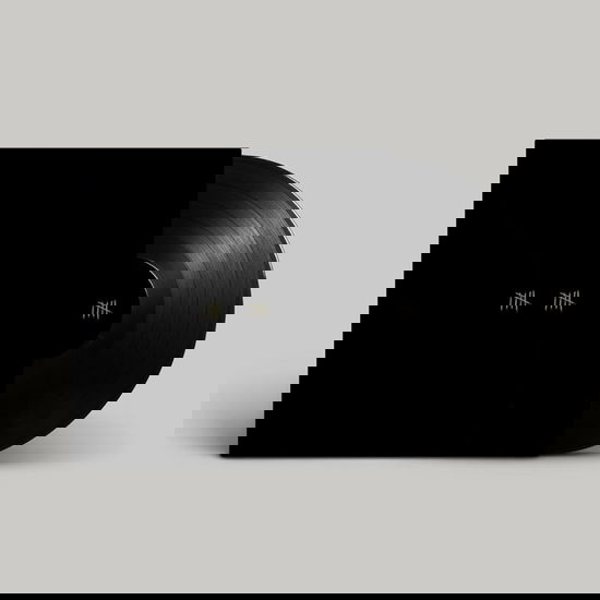 Cover for Sault · 10 (LP) (2025)
