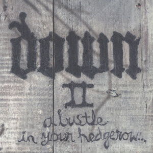 Cover for Down · Down II (CD) (2002)