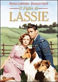 Cover for Lassie · Il Figlio Di Lassie (DVD) (2011)