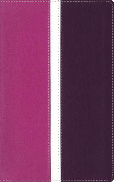Cover for Zondervan Publishing · Amplified Holy Bible, Leathersoft, Pink / Purple: Captures the Full Meaning Behind the Original Greek and Hebrew (Leather Book) [Dark Orchid/Deep Plum Imitation] (2015)