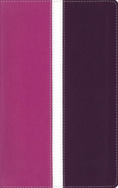 Cover for Zondervan Publishing · Amplified Holy Bible, Leathersoft, Pink / Purple: Captures the Full Meaning Behind the Original Greek and Hebrew (Lederbuch) [Dark Orchid/Deep Plum Imitation] (2015)