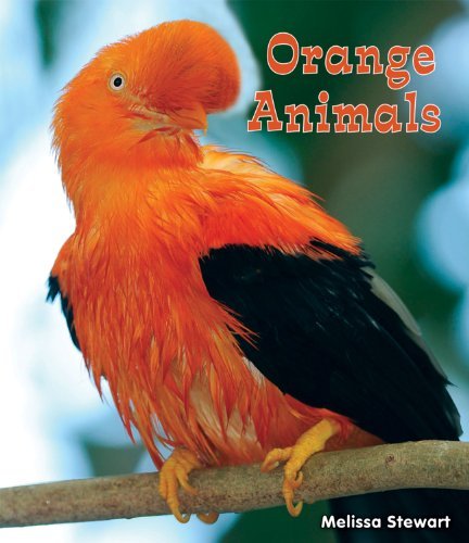 Cover for Melissa Stewart · Orange Animals (All About a Rainbow of Animals) (Innbunden bok) (2012)