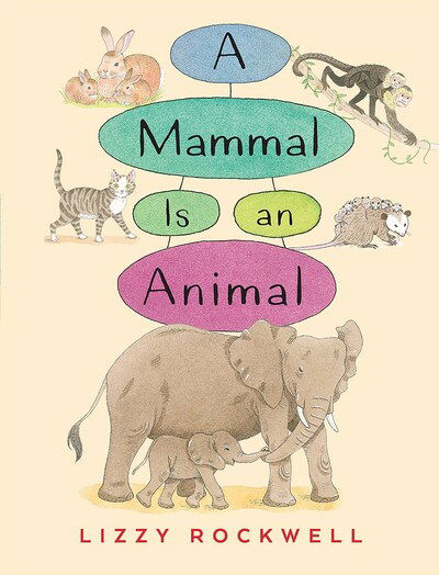 Cover for Lizzy Rockwell · A Mammal is an Animal (Paperback Book) (2020)