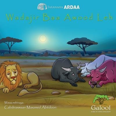 Cover for Abdirahman M Abtidoon · Wadajir Baa Awood Leh (Paperback Book) (2017)