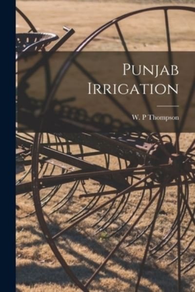 Cover for W P Thompson · Punjab Irrigation (Taschenbuch) (2021)