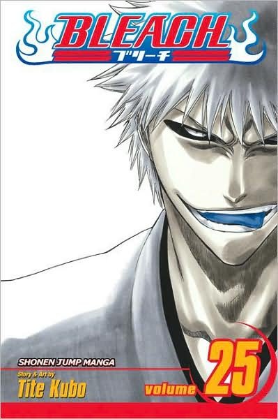 Cover for Tite Kubo · Bleach, Vol. 25 (Paperback Book) (2008)