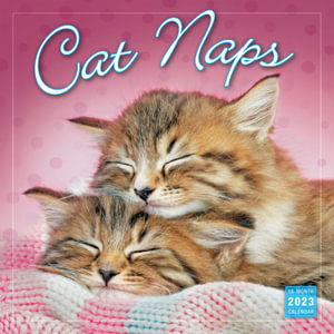 Cover for Sellers Publishing · Cat Naps - Wall 16 Month (Paperback Book) (2022)