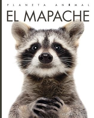 Cover for Kate Riggs · El Mapache (Innbunden bok) (2023)