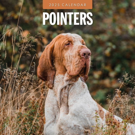 Cover for Red Robin · Pointers 2025 Square Wall Calendar (Paperback Bog) (2024)