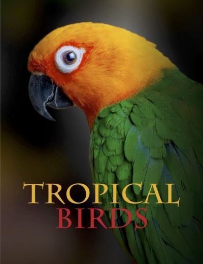 Cover for Tom Jackson · Tropical Birds - Animals (Inbunden Bok) (2022)