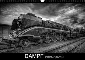 Cover for Jonas · Dampflokomotiven (Wandkalender 20 (Book)