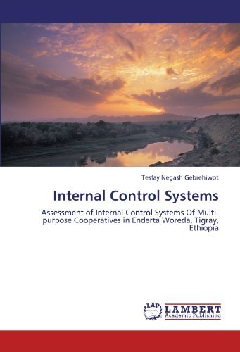 Cover for Tesfay Negash Gebrehiwot · Internal Control Systems: Assessment of Internal Control Systems of Multi-purpose Cooperatives in Enderta Woreda, Tigray, Ethiopia (Paperback Book) (2012)