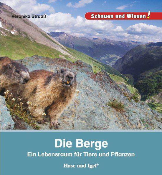 Die Berge - Straaß - Books -  - 9783867607964 - 