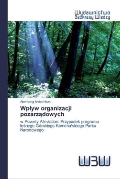 Cover for Ndah · Wplyw organizacji pozarzadowych (Book) (2020)