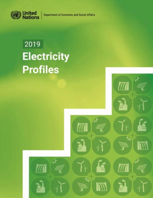 Cover for United Nations: Department of Economic and Social Affairs: Statistics Division · 2019 electricity profiles (Paperback Book) (2022)