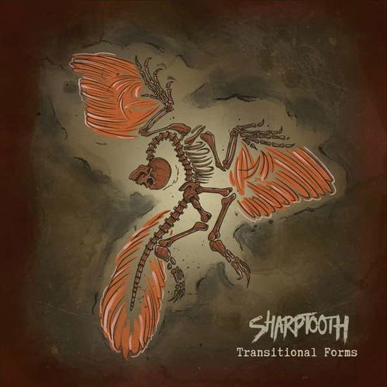 Cover for Sharptooth · Transitional Forms (LP) [Limited edition] (2020)